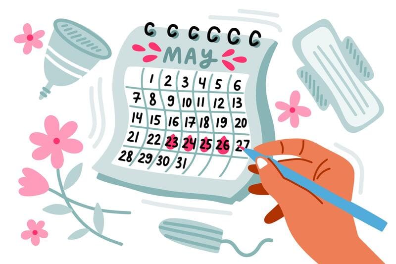 Cómo leer y estudiar la Biblia guia