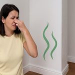 Los olores espirituales biblia