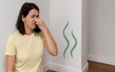 Los olores espirituales y el discernimiento en la vida cristiana