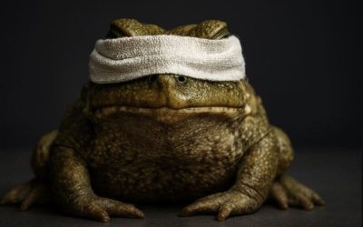 Significado espiritual y bíblico de soñar con sapos y ranas