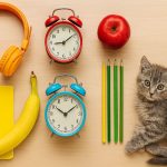 Significado espiritual de soñar con colores según la Biblia significado espiritual de los colores