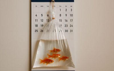 El significado bíblico y espiritual de soñar con peces