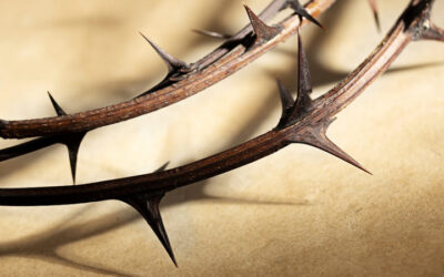 La corona de espinas de Jesús – Su significado espiritual