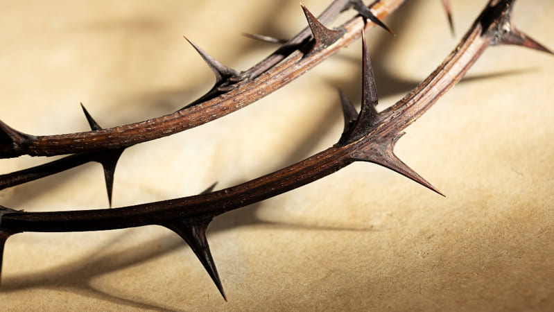 Que significa la corona de espinas de Jesús